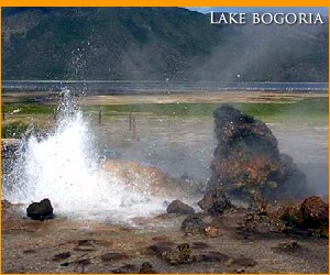 Lake Bogoria