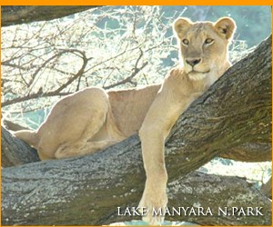 Lake Manyara National Park