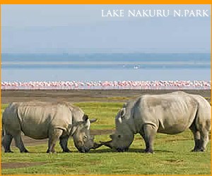 Lake Nakuru national park