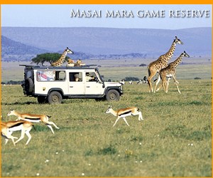 Masai Mara game reserve