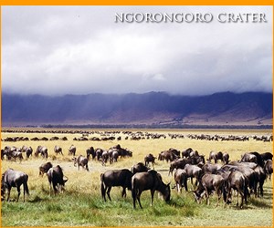 Ngorongoro Crater