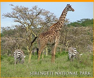 Serengeti National Park