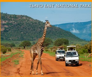 Tsavo East national park